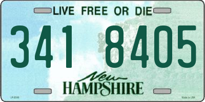 NH license plate 3418405
