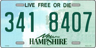 NH license plate 3418407