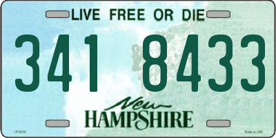 NH license plate 3418433