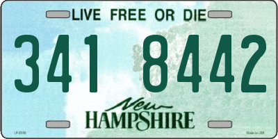 NH license plate 3418442