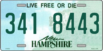 NH license plate 3418443