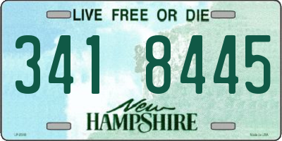 NH license plate 3418445
