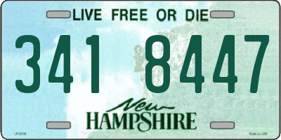 NH license plate 3418447