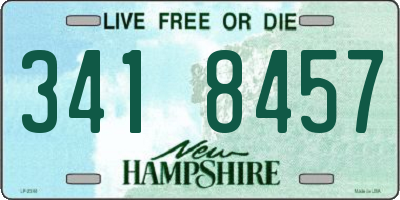 NH license plate 3418457