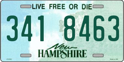 NH license plate 3418463