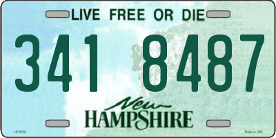 NH license plate 3418487