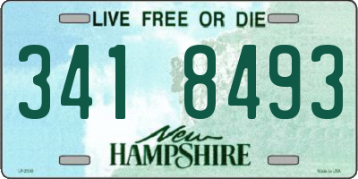 NH license plate 3418493