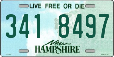 NH license plate 3418497