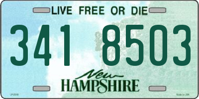 NH license plate 3418503