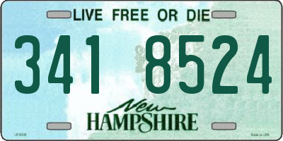 NH license plate 3418524