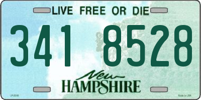 NH license plate 3418528