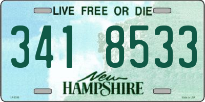 NH license plate 3418533