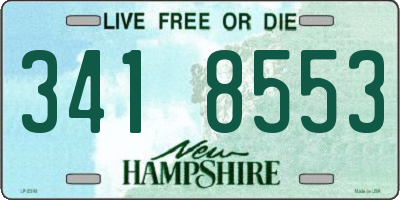 NH license plate 3418553