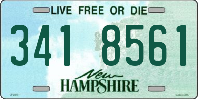 NH license plate 3418561