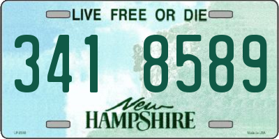 NH license plate 3418589