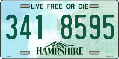 NH license plate 3418595