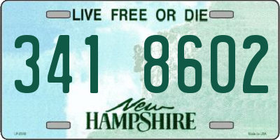 NH license plate 3418602
