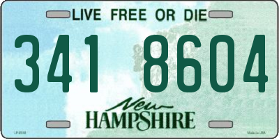 NH license plate 3418604