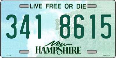 NH license plate 3418615