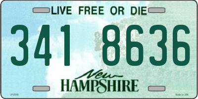 NH license plate 3418636