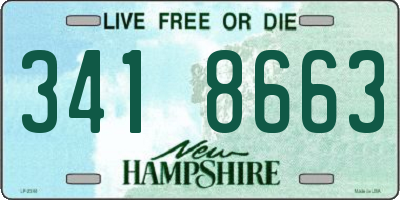NH license plate 3418663