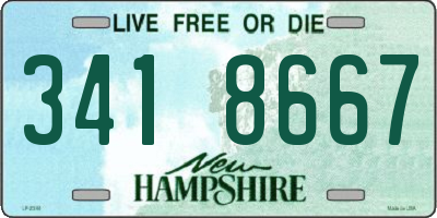 NH license plate 3418667