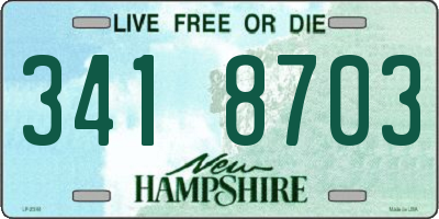 NH license plate 3418703