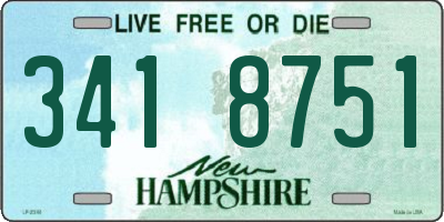 NH license plate 3418751
