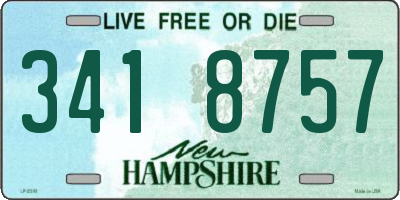 NH license plate 3418757