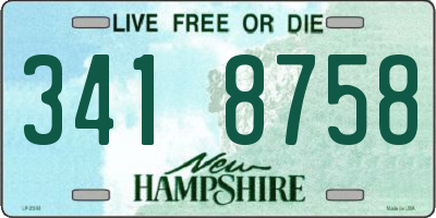 NH license plate 3418758