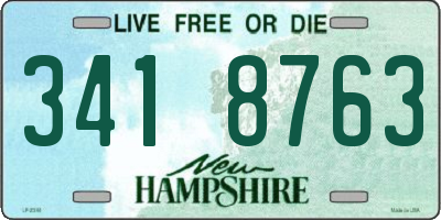 NH license plate 3418763
