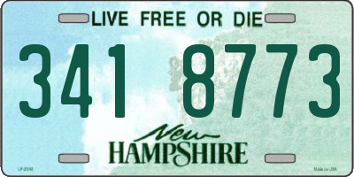 NH license plate 3418773