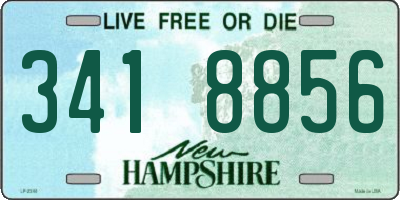 NH license plate 3418856