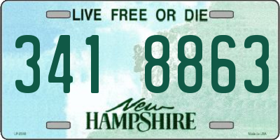 NH license plate 3418863