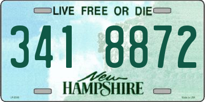 NH license plate 3418872