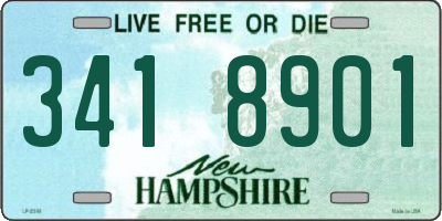 NH license plate 3418901