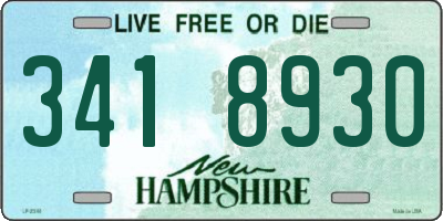 NH license plate 3418930