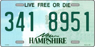 NH license plate 3418951