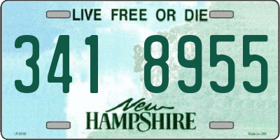 NH license plate 3418955