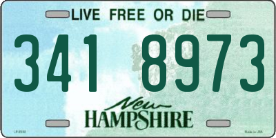 NH license plate 3418973