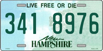 NH license plate 3418976