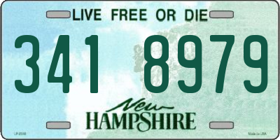 NH license plate 3418979