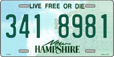 NH license plate 3418981