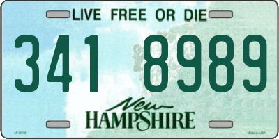 NH license plate 3418989
