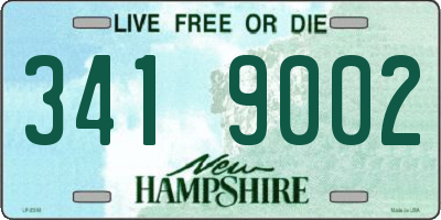 NH license plate 3419002