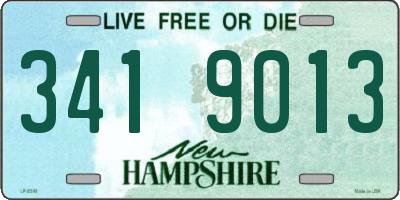 NH license plate 3419013