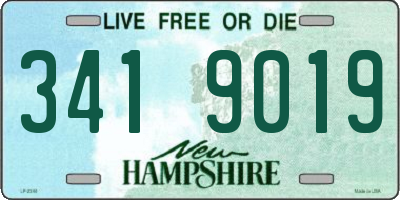 NH license plate 3419019
