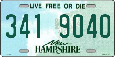 NH license plate 3419040