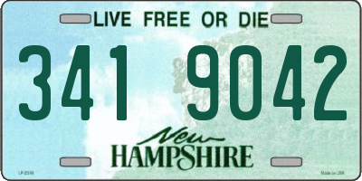 NH license plate 3419042