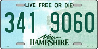 NH license plate 3419060